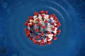 Image of COVID Receptor Cell